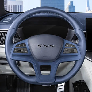 Interior Decorative Frame for BYD Sealion 6 harrybyd