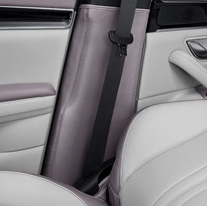 Car Interior Protective Mat for BYD Sealion 6 harrybyd