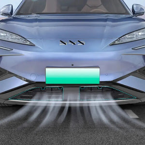 Grille Proof Net for BYD Sealion 7 (2pcs)? harrybyd