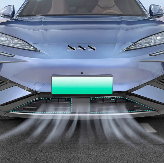 Grille Proof Net for BYD Sealion 7 Accessories (2pcs)