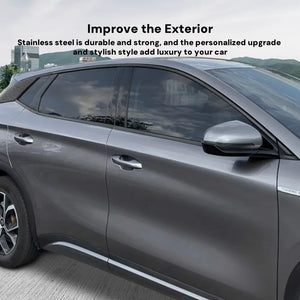 Window Trim Cover for BYD Atto 3 harrybyd