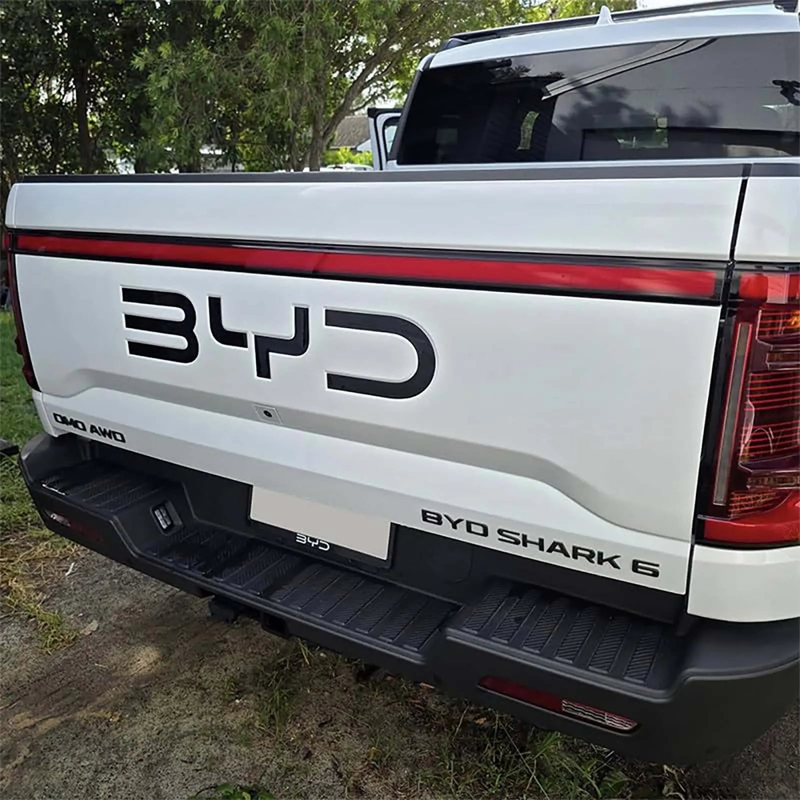 Badge for BYD Shark  harrybyd