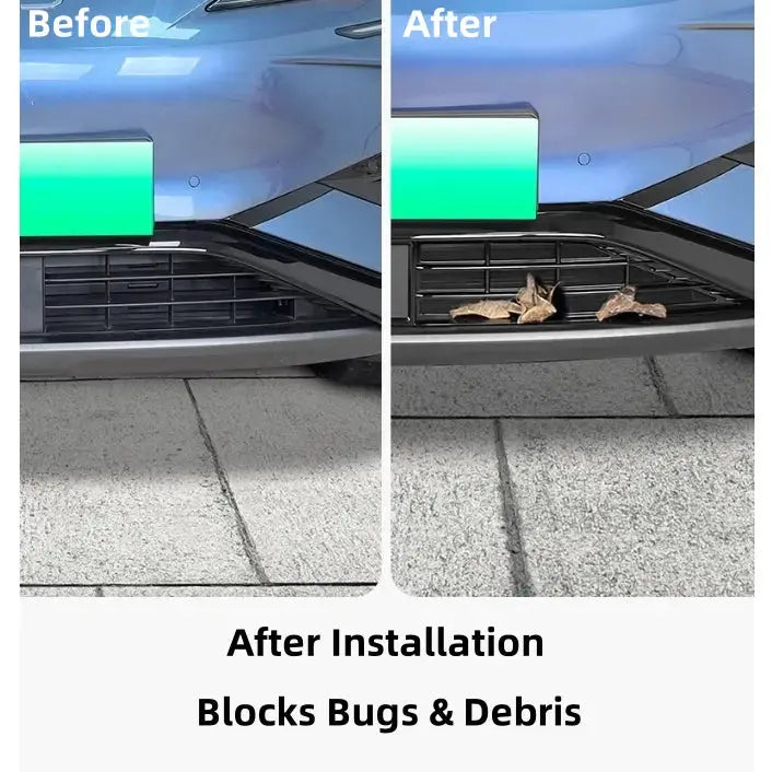 Integrated Grille Bug Screen for BYD Sealion 7? harrybyd