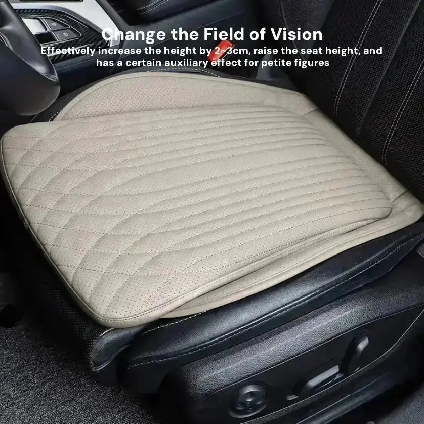 Leather Car Seat Cushion? harrybyd