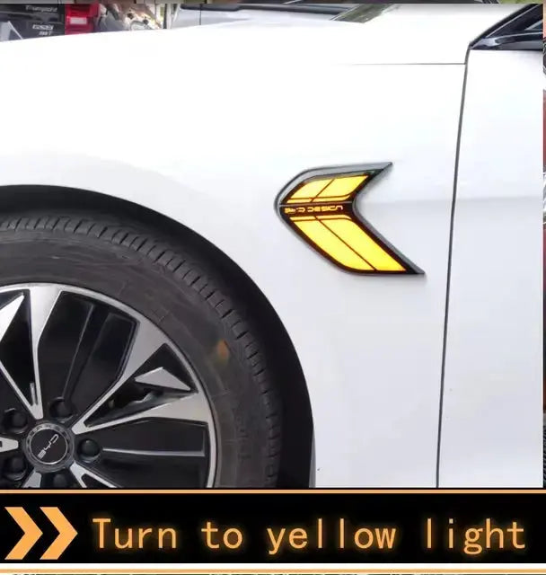 Wing Turn Signal for BYD Seal harrybyd