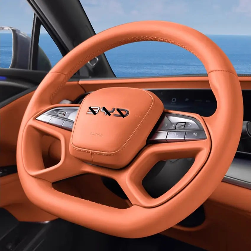 Decorative Frame for BYD Sealion 7  harrybyd