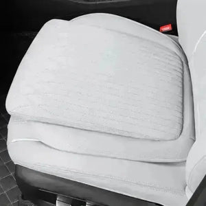 Leather Car Seat Cushion? harrybyd