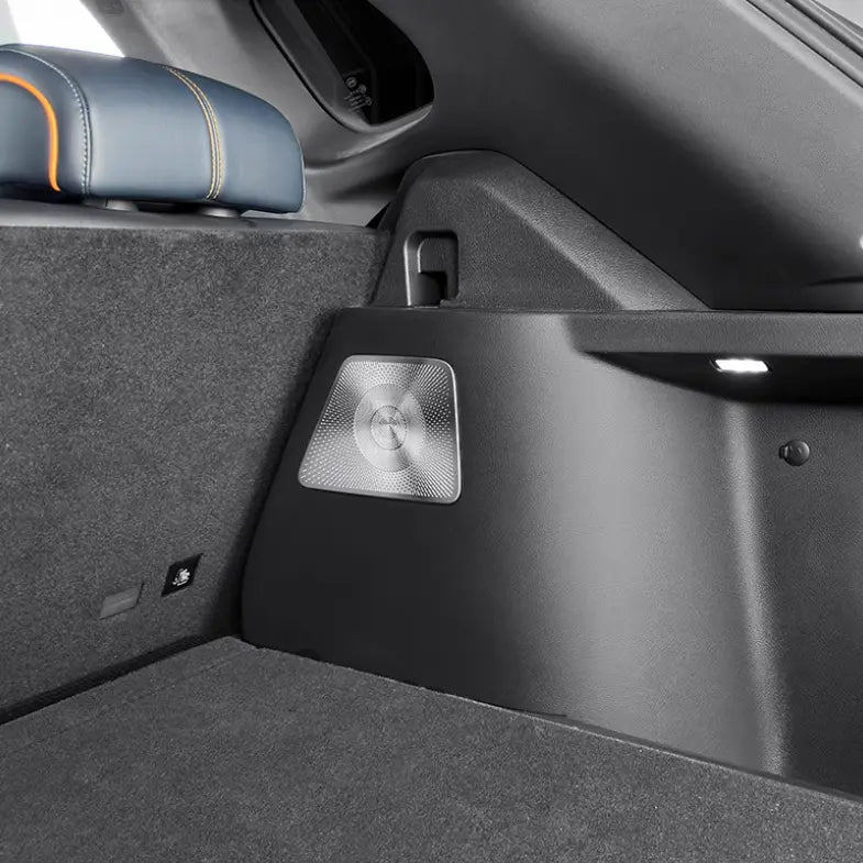 Car Door  Speaker Cover for BYD Sealion 6  harrybyd