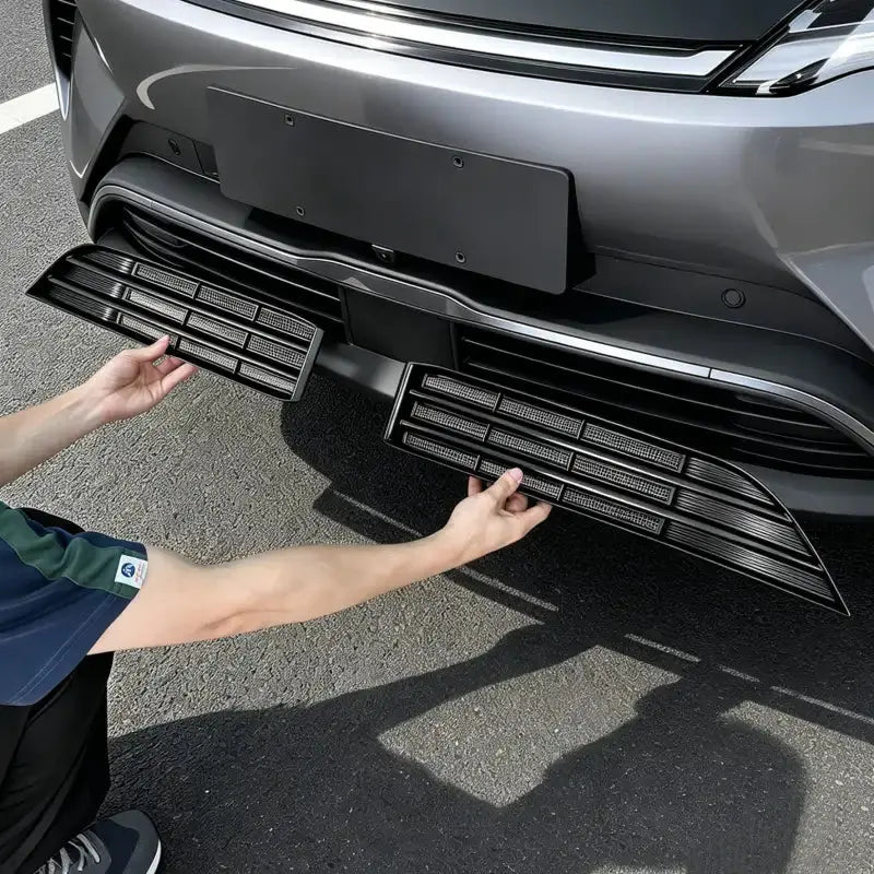 Front Fasica Insect Net for BYD Atto 2