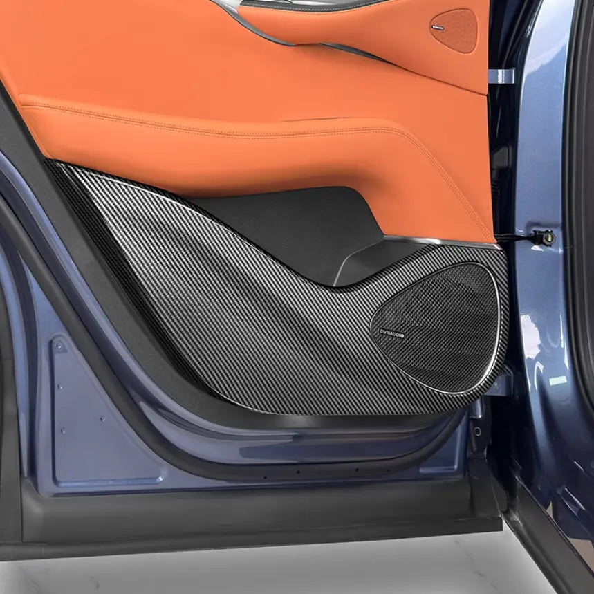 Door Defense Kick Pads for BYD Sealion 7 (4pcs)  harrybyd