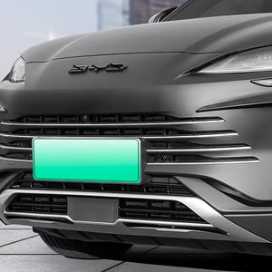 Front Bumper Grille Guard Insect Net for BYD Sealion 6  harrybyd