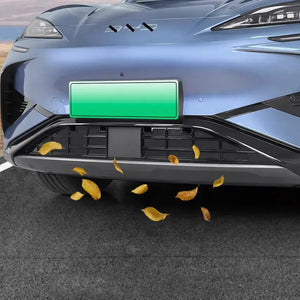 Grille Proof Net for BYD Sealion 7 (2pcs)? harrybyd