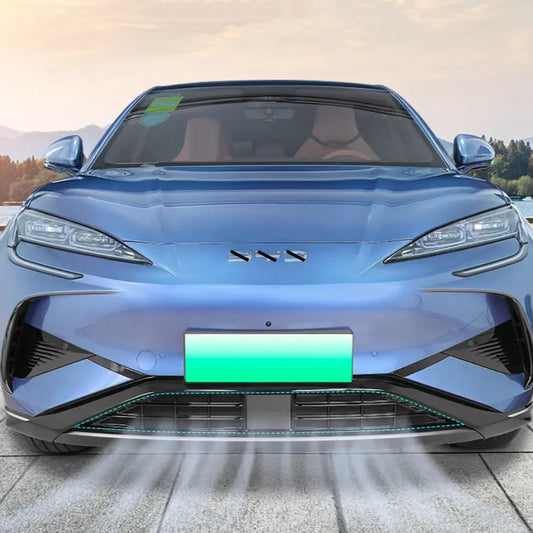 Integrated Grille Bug Screen for BYD Sealion 7? harrybyd