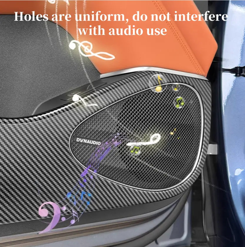 Door Defense Kick Pads for BYD Sealion 7 (4pcs)  harrybyd