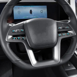 Button Protector for BYD Atto 2  harrybyd