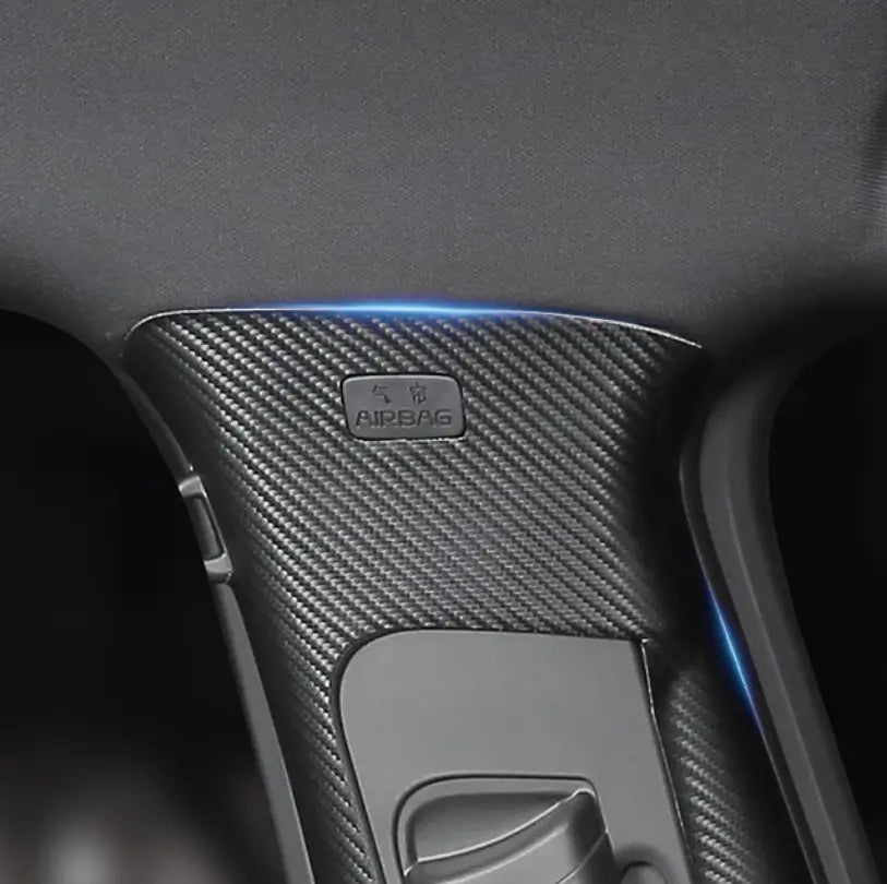 B-Pillar Protector for BYD Seal EV  harrybyd