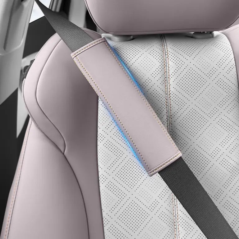 Full Car Leather Protection for BYD Atto 3  harrybyd