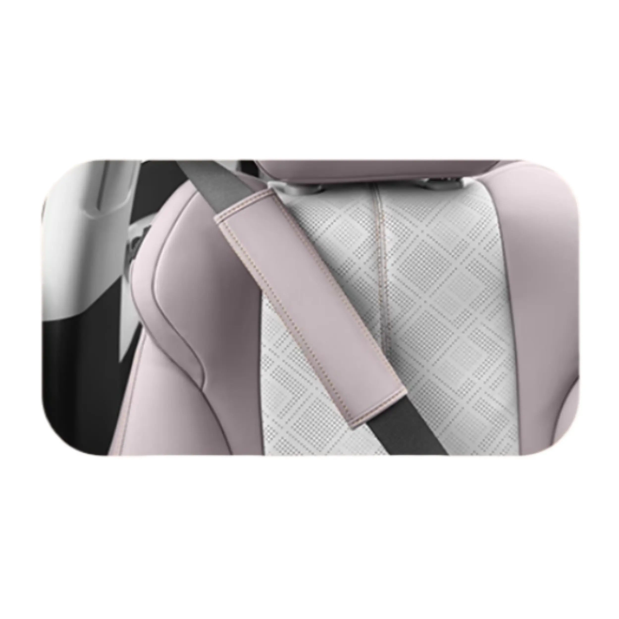 Full Car Leather Protection for BYD Atto 3  harrybyd