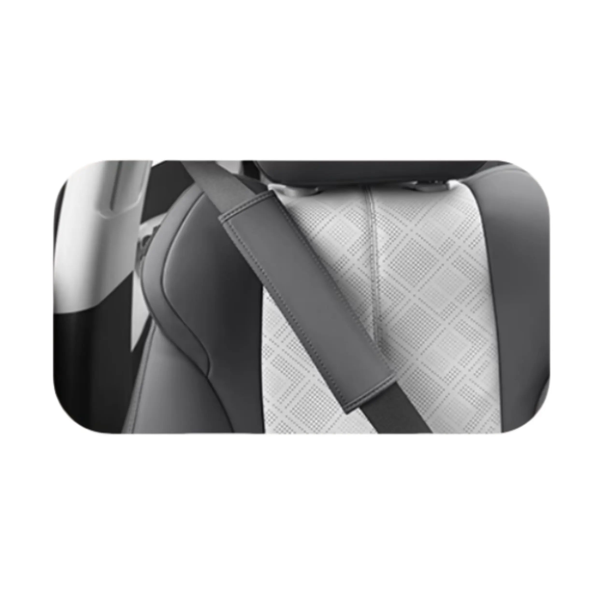 Full Car Leather Protection for BYD Atto 3  harrybyd