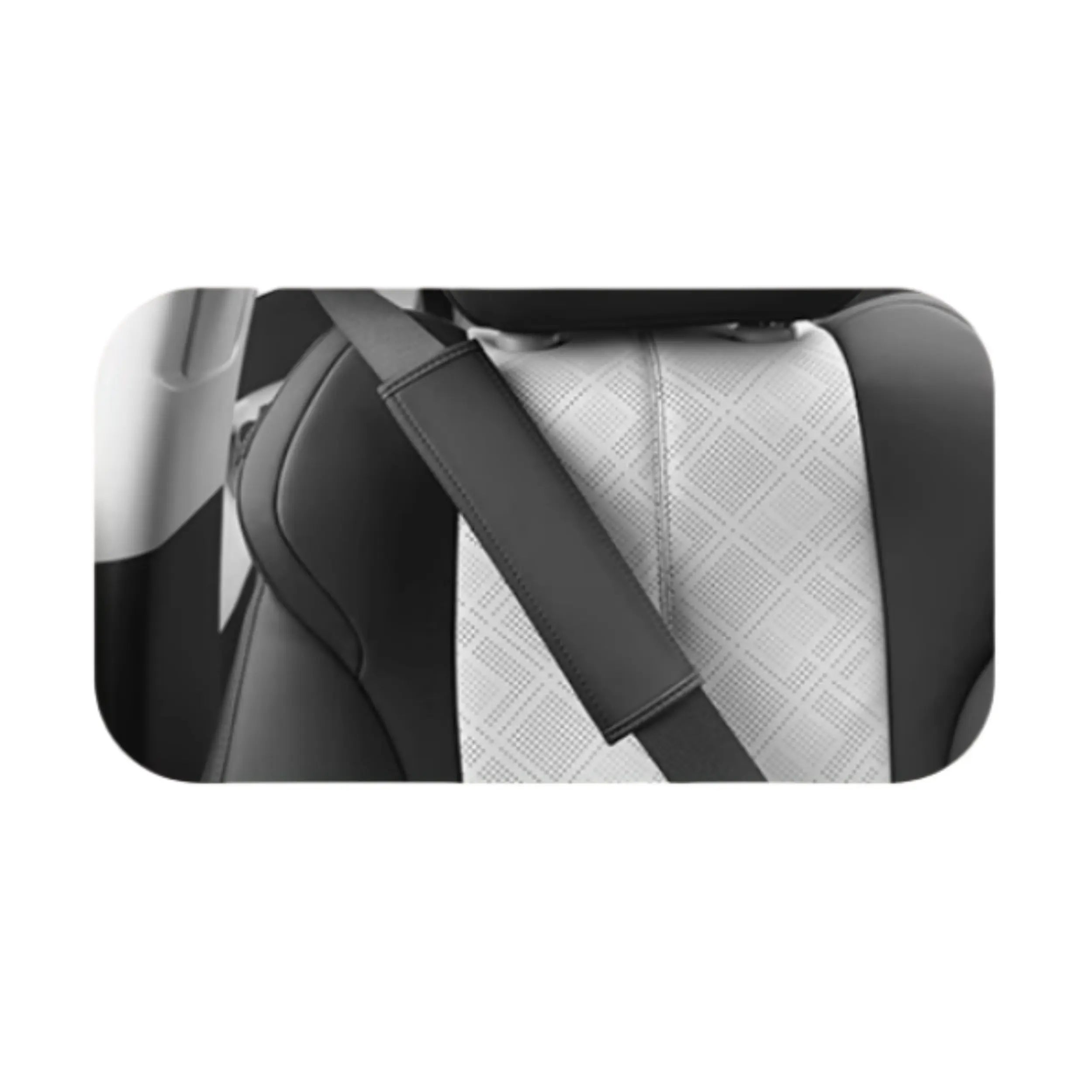 Full Car Leather Protection for BYD Atto 3  harrybyd