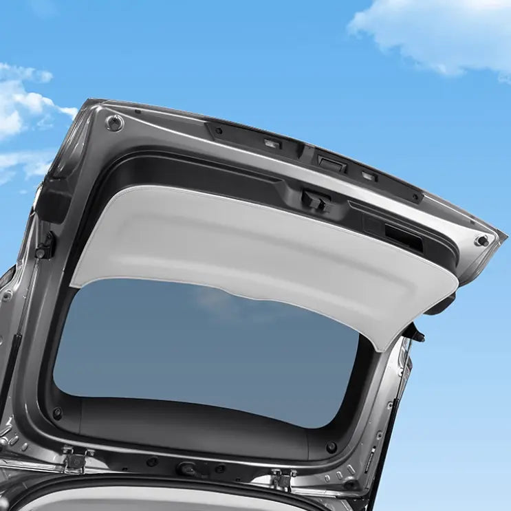 Full Car Leather Protection for BYD Atto 3  harrybyd