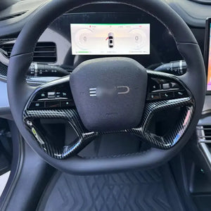 Decorative Frame for BYD Sealion 7? harrybyd