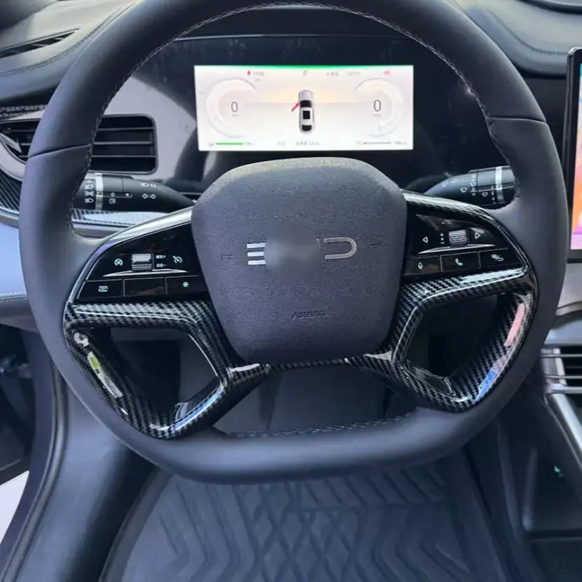 Decorative Frame for BYD Sealion 7? harrybyd