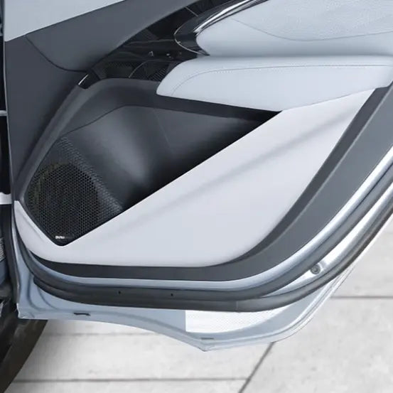 Leather Door Protector for BYD Seal EV (4pcs)  harrybyd